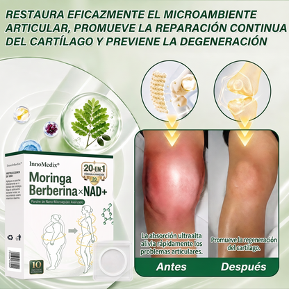 InnoMedix®👩‍⚕️🔥 Moringa Berberina x NAD+ 20-EN-1 Parche Avanzado de Nano-Microagujas (Aplicar solo una vez al día – cambios visibles en tan solo 7 días.)